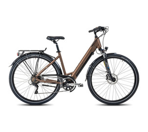 E-bike ProEco:ON Wave LTD 1.0 504Wh brown-black-19" / L, Size: 19" / L, Brake type: Disc Brake, Fork type: Suspension fork