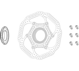 ZIPP Centerlockring schwarz, bis 160mm Bremsscheibengröße 