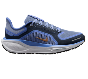 NIKE PEGASUS 41 GORE-TEX moteriški asfalto bėgimo batai, Suurus: EU 42.5, Värv: Blue