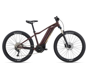 LIV Tempt 29 E+ 1 E-Bike, Size: M, Colors: Dark brown