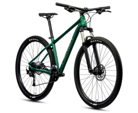 Bicycle Merida BIG.NINE 100-2X matt evergreen-XL(20)