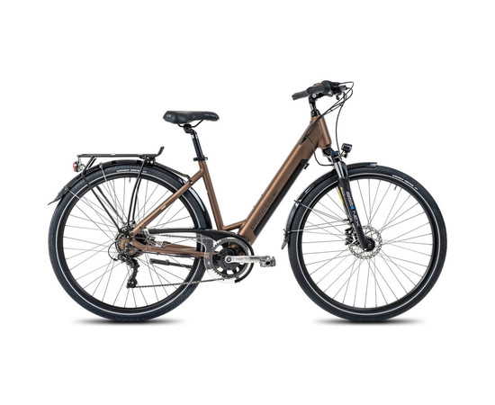 E-bike ProEco:ON Wave LTD 1.0 504Wh brown-black-19" / L, Suurus: 19" / L