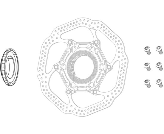 ZIPP Centerlockring schwarz, bis 160mm Bremsscheibengröße 