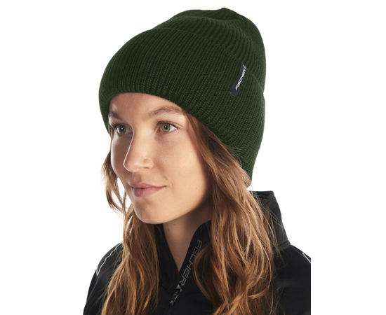 Fischer Beanie logo, green