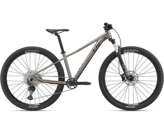 Liv Tempt 29 0 Mountain bike, Suurus: XL, Värv: Grey